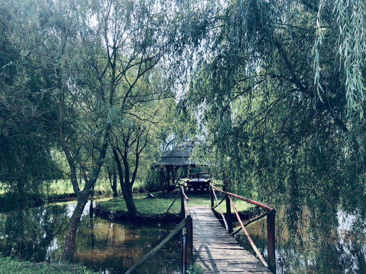 La Muzeu Villa Bata Dış mekan fotoğraf
